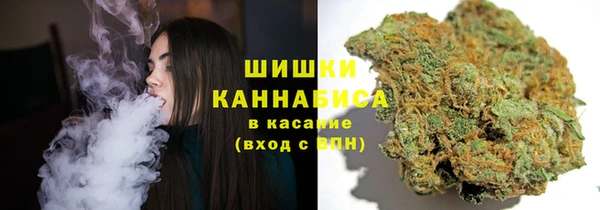 mdpv Инта